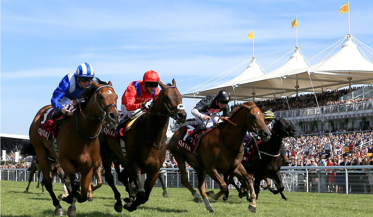 Qatar Goodwood Festival